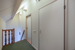 Foto Wespendief 4 Tollebeek 42.jpg